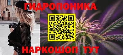 соль ск Новозыбков