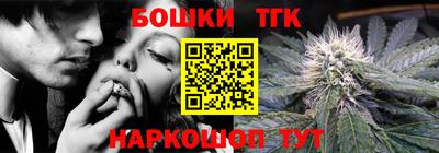 соль ск Новозыбков