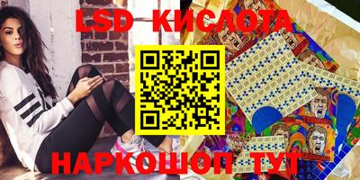 соль ск Новозыбков