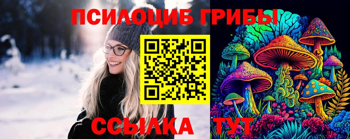 Соликамск  Галлюциногенные грибы Psilocybine cubensis  Галлюциногенные грибы Psilocybine cubensis  Вход с VPN 